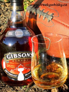 Gibsons 100 Coupe Grey